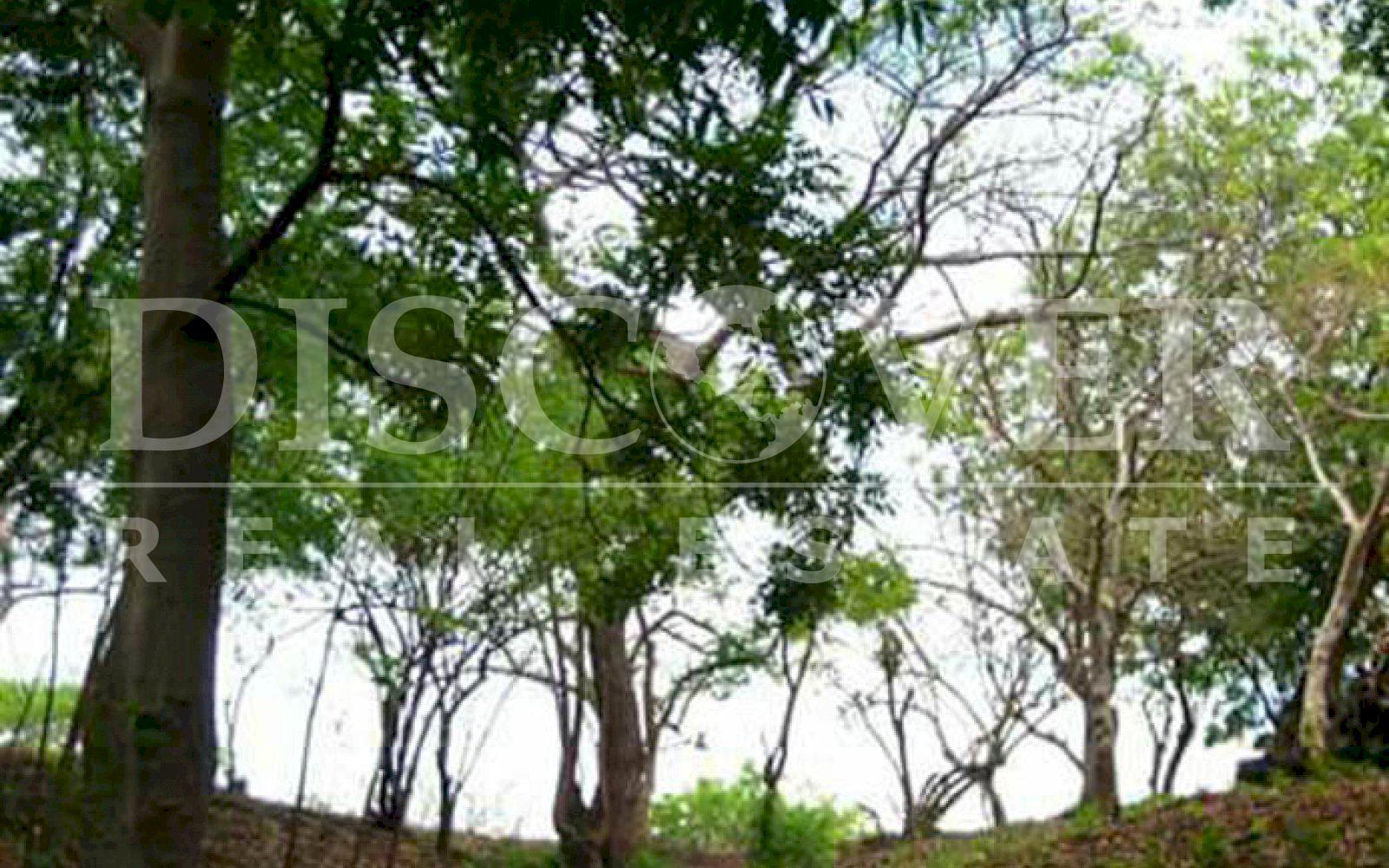 https://images.discovernica.com/propiedad/1600/terreno_venta_pochomil_viejo_id_10573_5.jpg