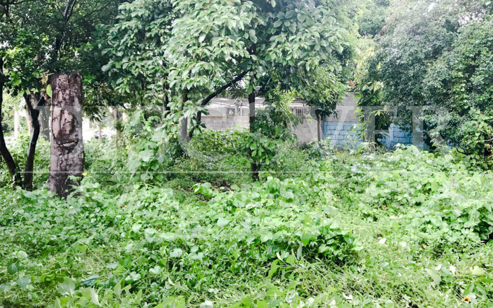 https://images.discovernica.com/propiedad/1600/terreno_venta_renta_carretera_masaya_ticuantepe_500_vrs2_venta_ID11338_3.jpg