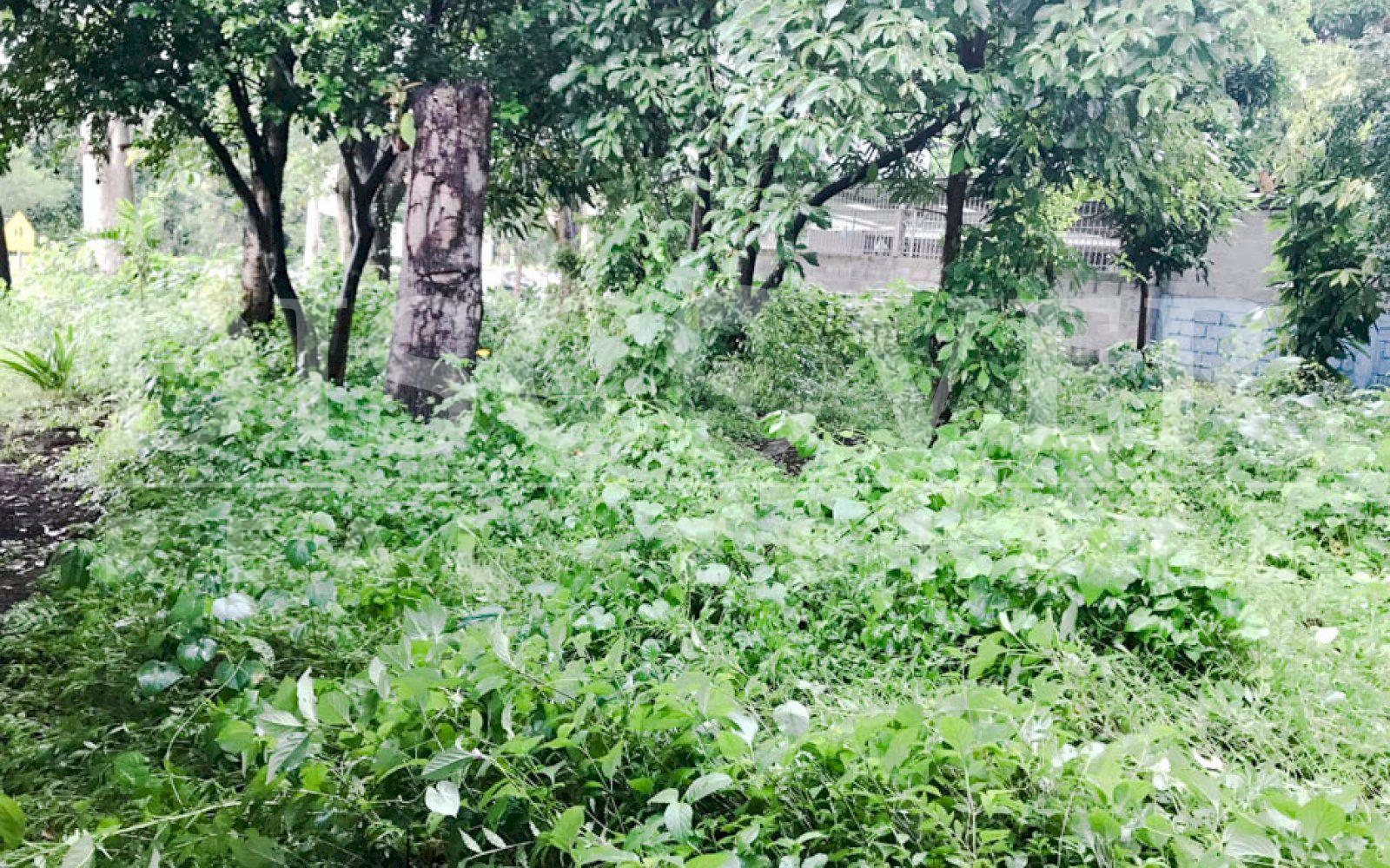 https://images.discovernica.com/propiedad/1600/terreno_venta_renta_carretera_masaya_ticuantepe_500_vrs2_venta_ID11338_4.jpg