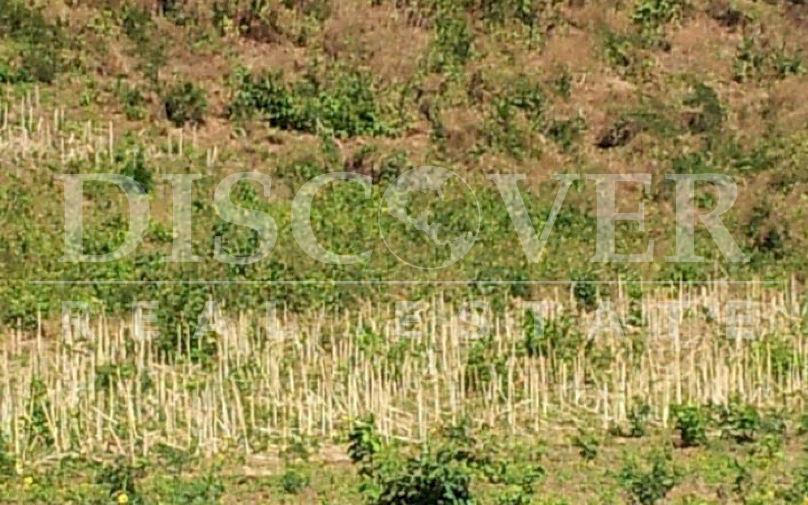 Land for sale located in Tola.