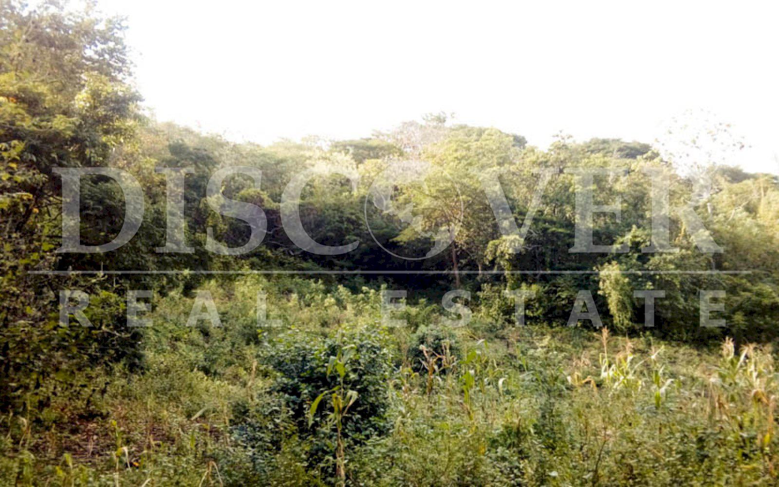 https://images.discovernica.com/propiedad/1600/terreno_venta_san_Isidro_managua_id_10491.jpg