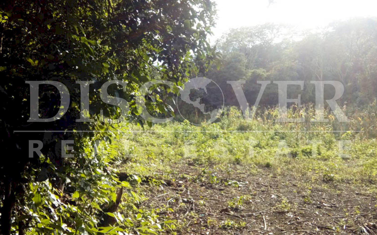 https://images.discovernica.com/propiedad/1600/terreno_venta_san_Isidro_managua_id_10491_4.jpg