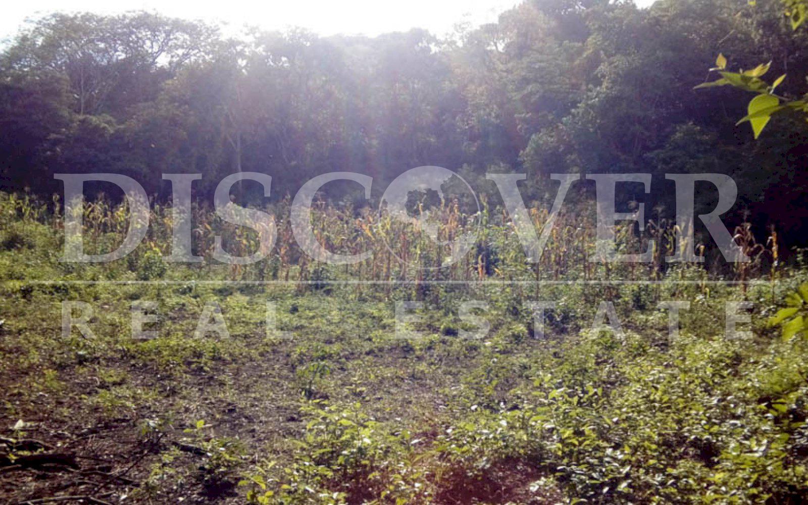 https://images.discovernica.com/propiedad/1600/terreno_venta_san_Isidro_managua_id_10491_5.jpg