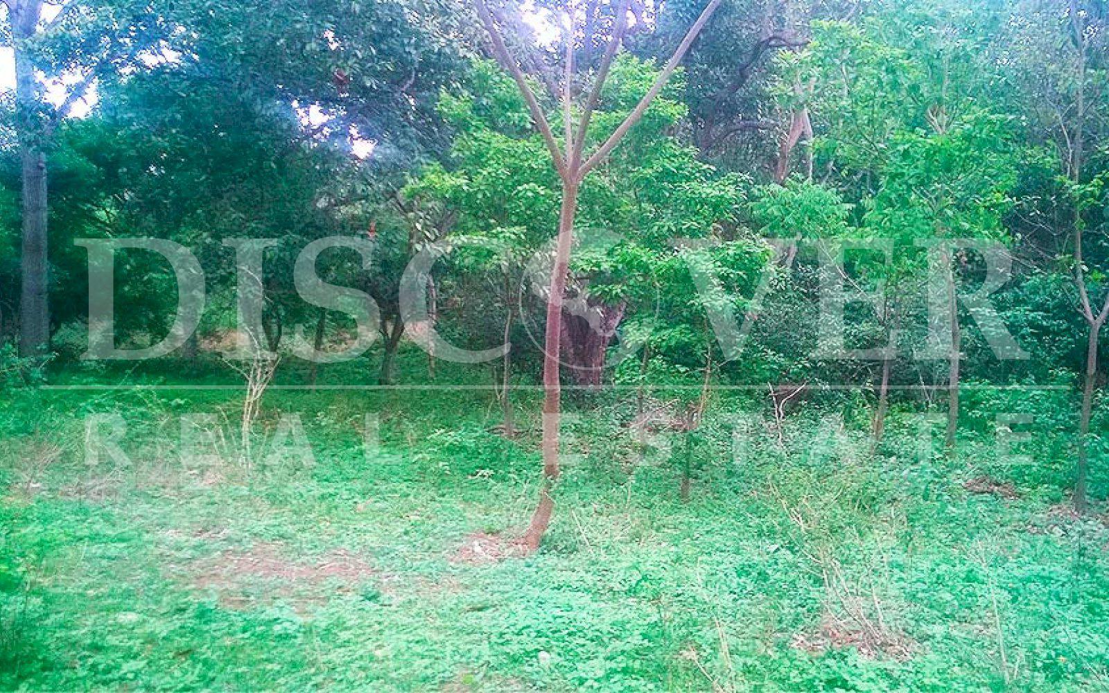 https://images.discovernica.com/propiedad/1600/terreno_venta_san_isidro_de_la_cruz_verde_managua_id_9993_3.jpg