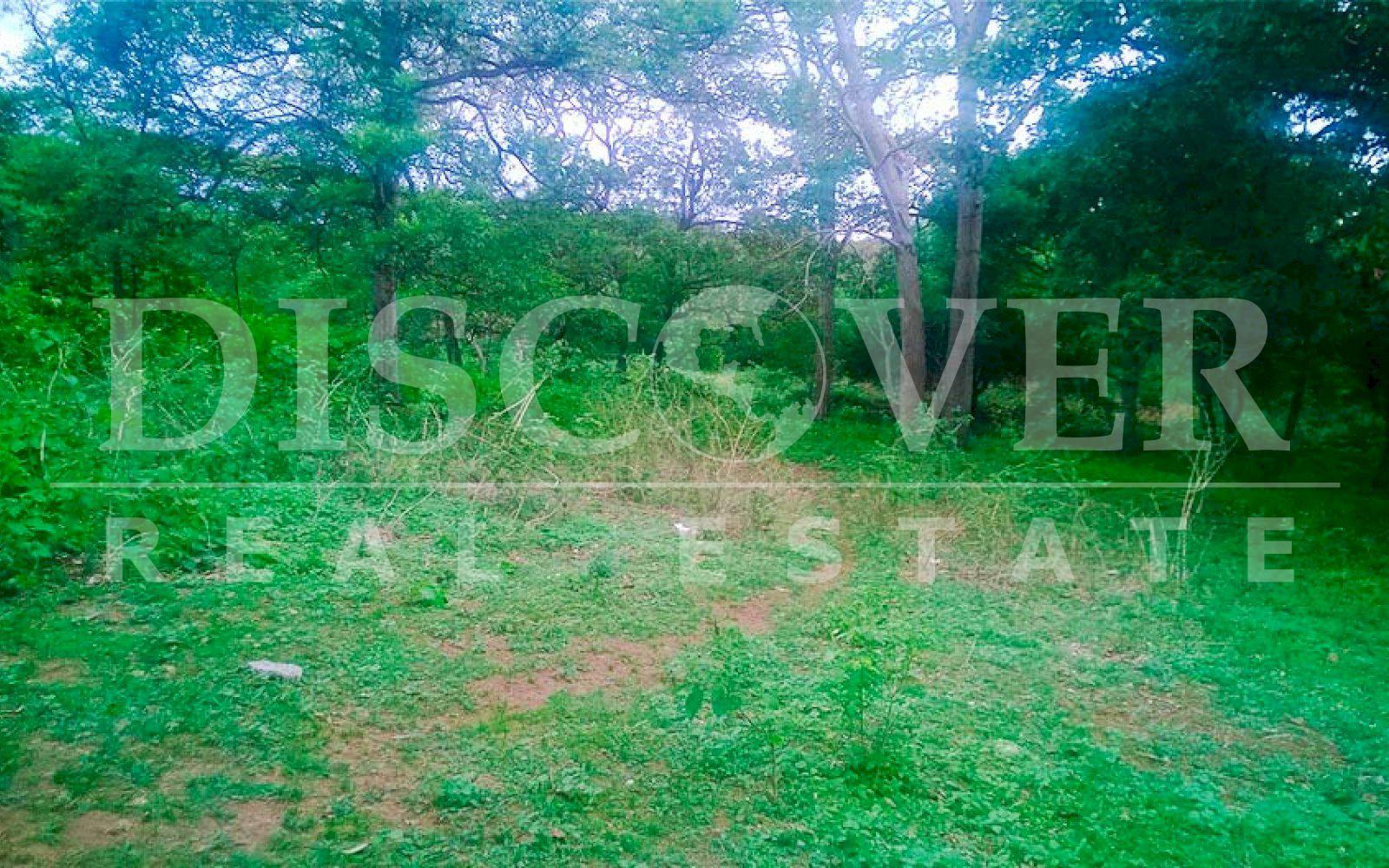 https://images.discovernica.com/propiedad/1600/terreno_venta_san_isidro_de_la_cruz_verde_managua_id_9993_4.jpg