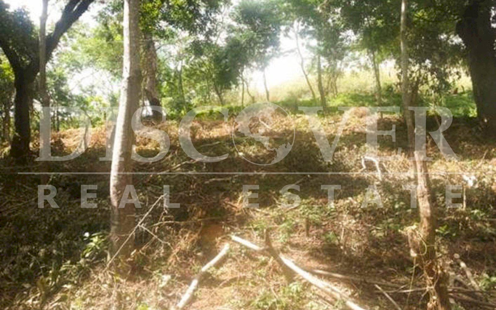 https://images.discovernica.com/propiedad/1600/terreno_venta_san_juan_del_sur_id_10507.jpg