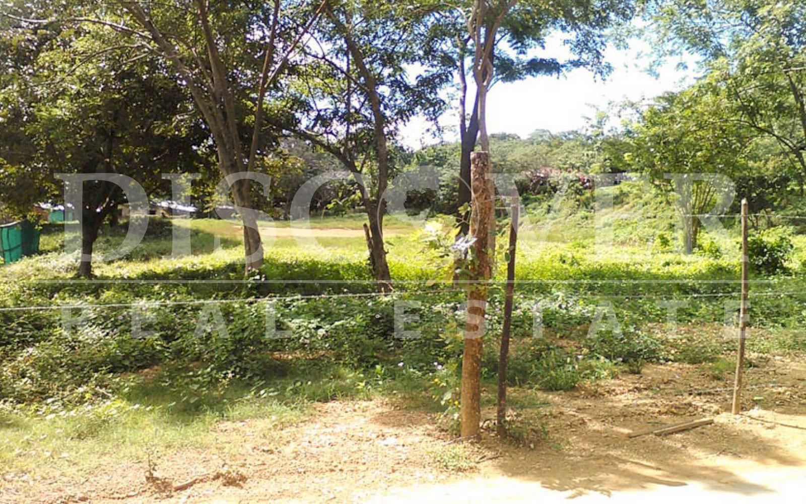 Imagen 1 de la galería