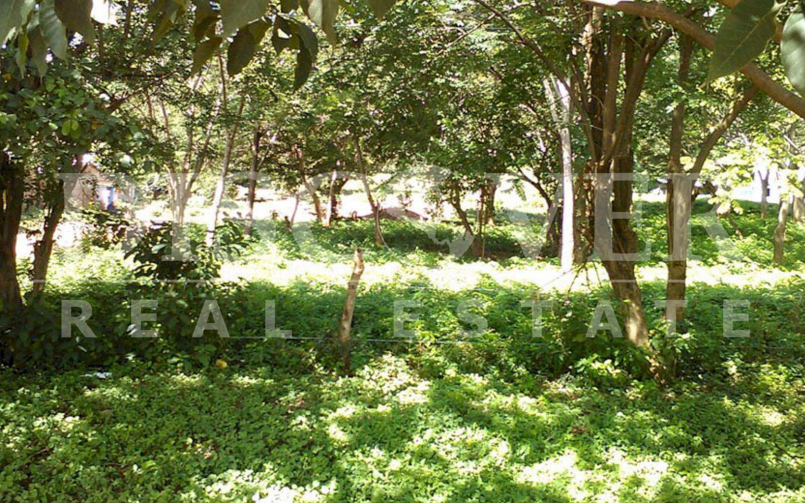 Imagen 3 de la galería