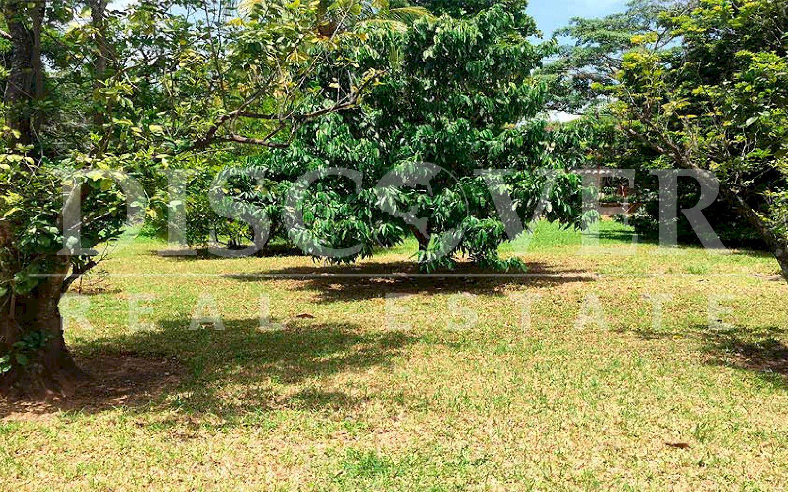 Imagen 1 de la galería