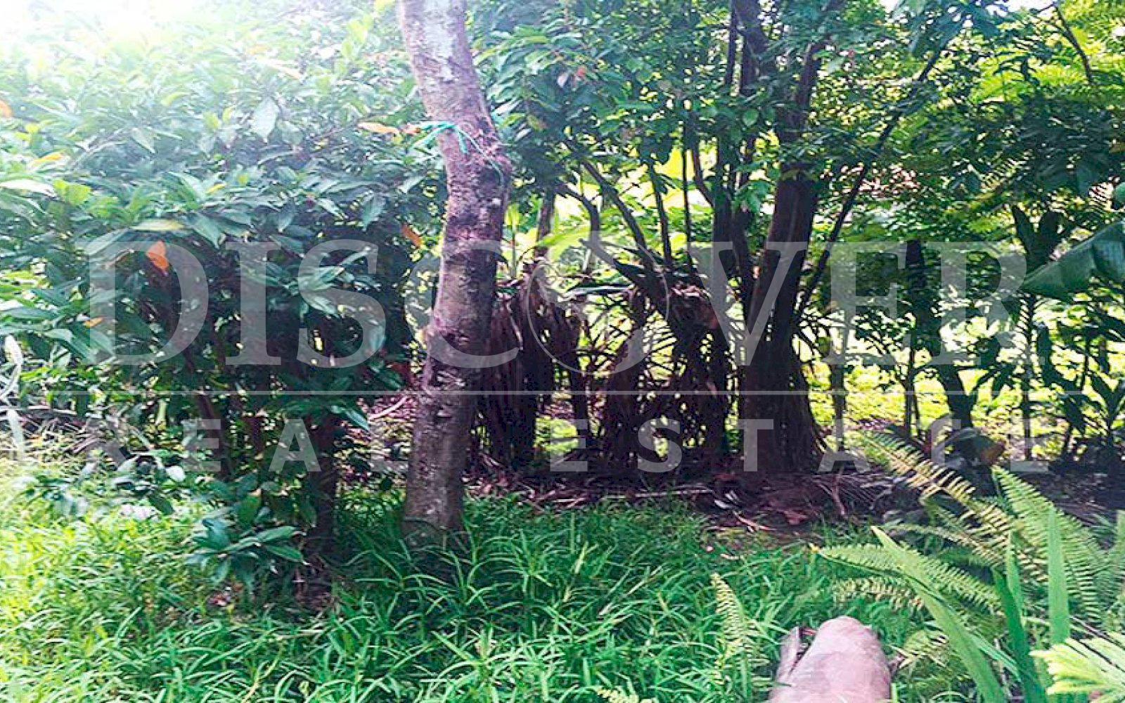 https://images.discovernica.com/propiedad/1600/terreno_venta_san_marcos_carazo_id_10063_3.jpg
