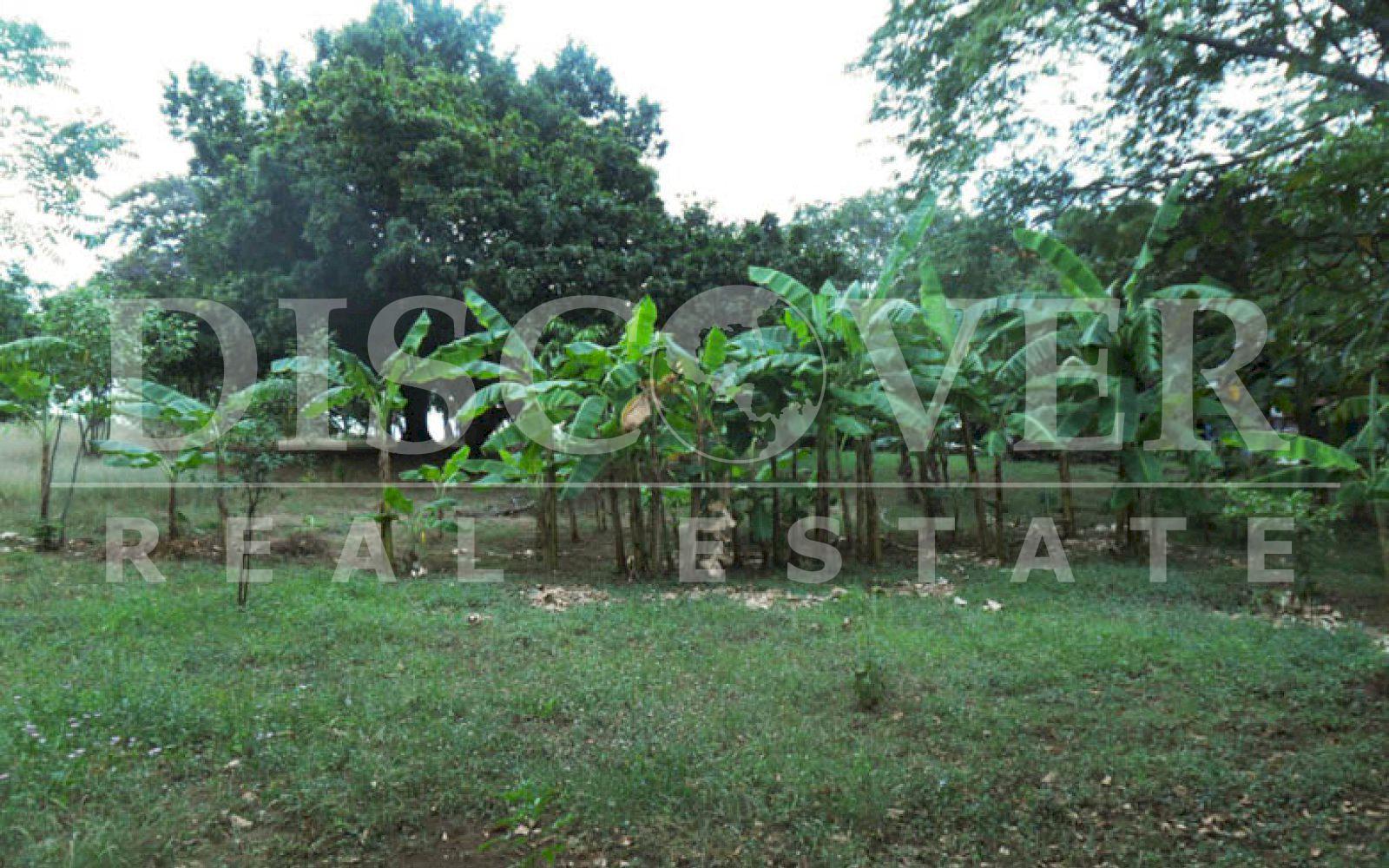https://images.discovernica.com/propiedad/1600/terreno_venta_santo_domingo_managua_id_10430_5.jpg