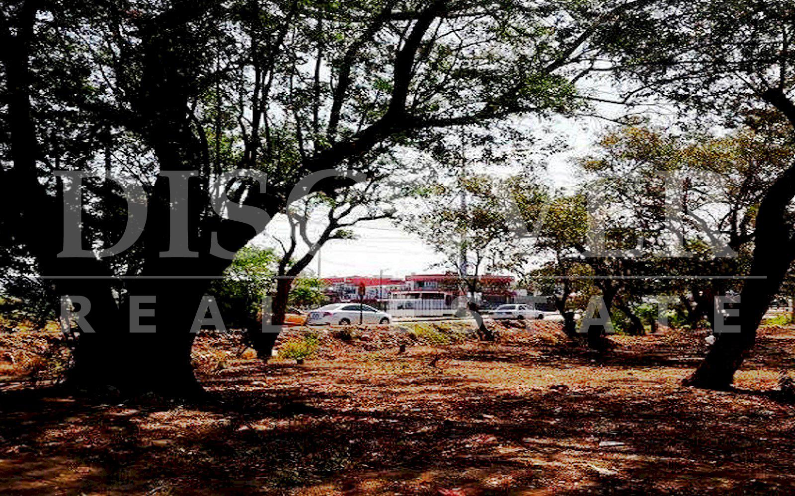 https://images.discovernica.com/propiedad/1600/terreno_venta_santo_domingo_managua_id_9911_1.jpg