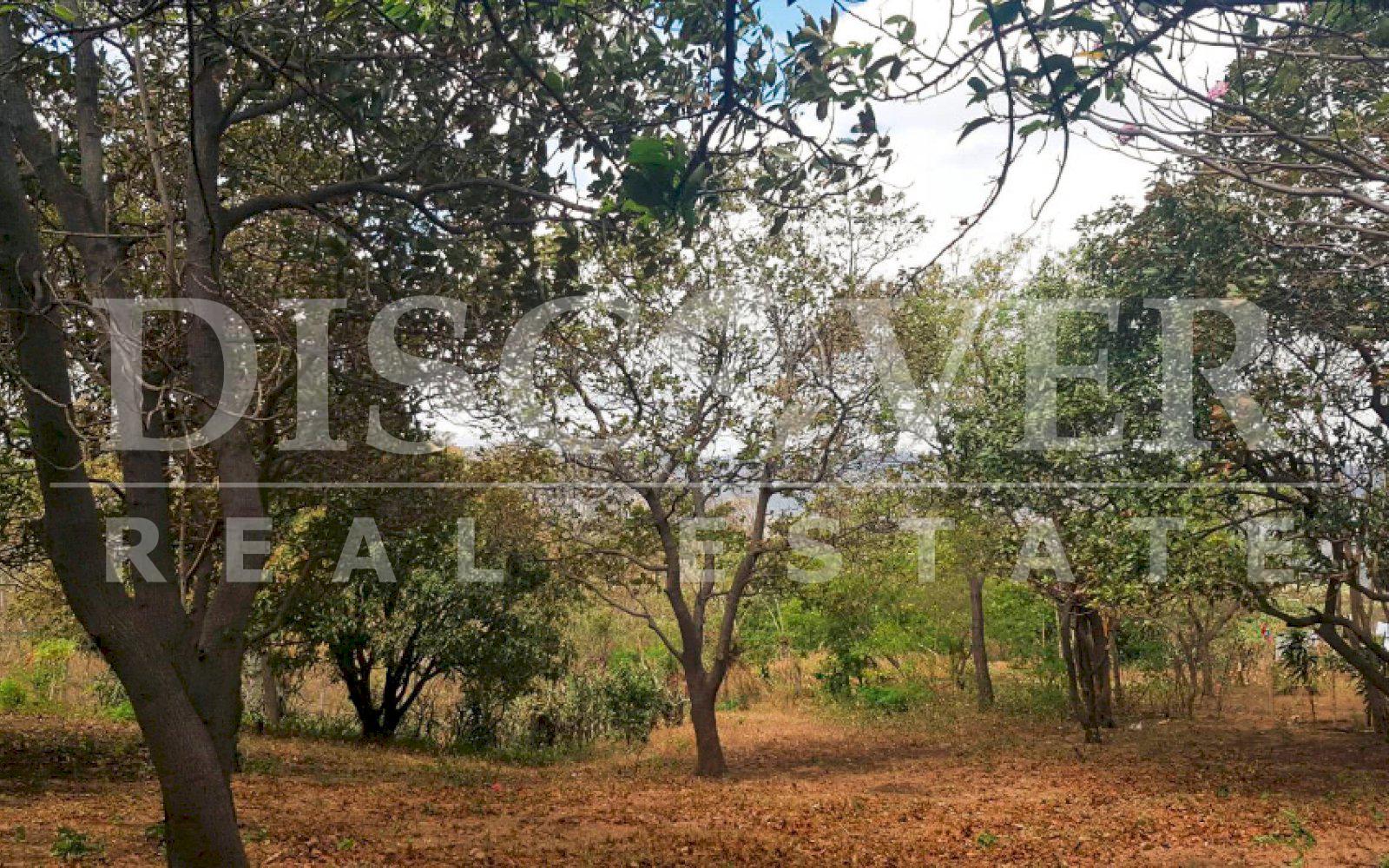  Land for Sale located in Ticuantepe ID 10644