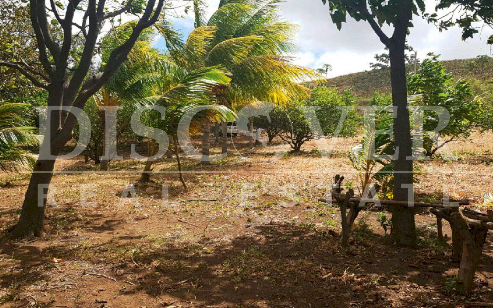  Land for Sale located in Ticuantepe ID 10644