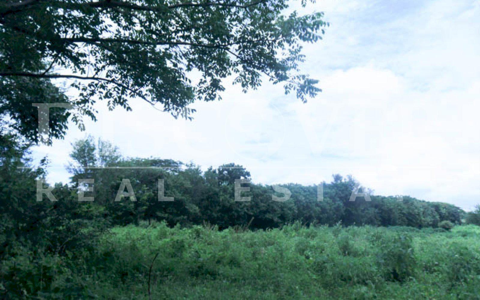 Imagen 5 de la galería