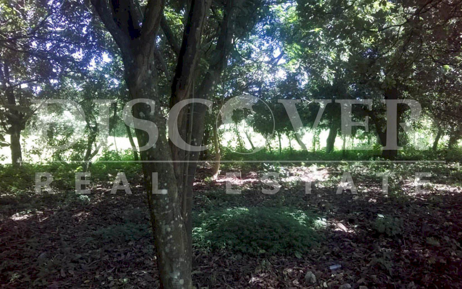 https://images.discovernica.com/propiedad/1600/terreno_venta_veracruz_id_10397.jpg