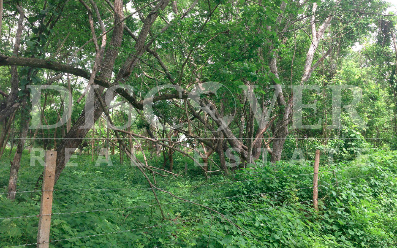 https://images.discovernica.com/propiedad/1600/terreno_venta_villa_fontana_id_11046_4.jpg