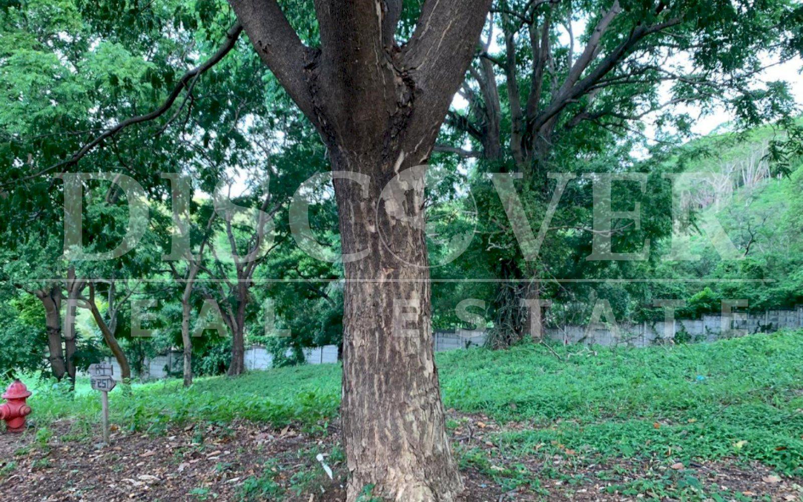 https://images.discovernica.com/propiedad/1600/vrwevwervwrefrv.jpg