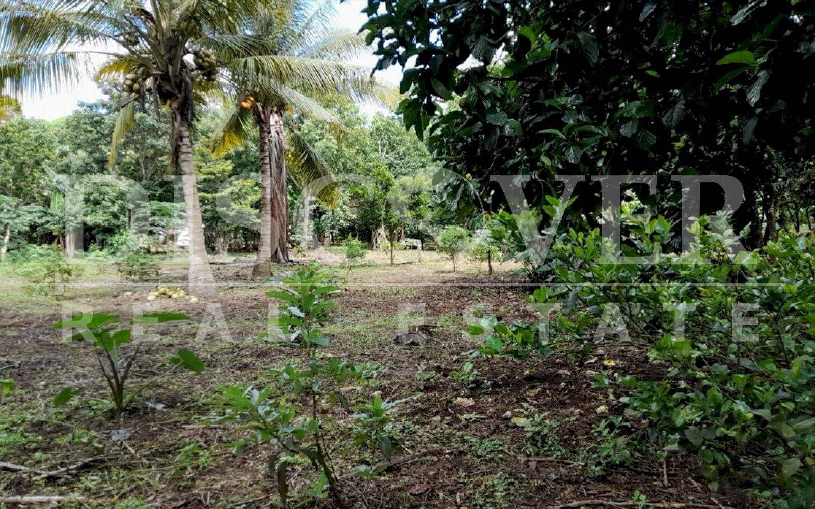 https://images.discovernica.com/propiedad/1600/vsdbdefdrfb.jpg