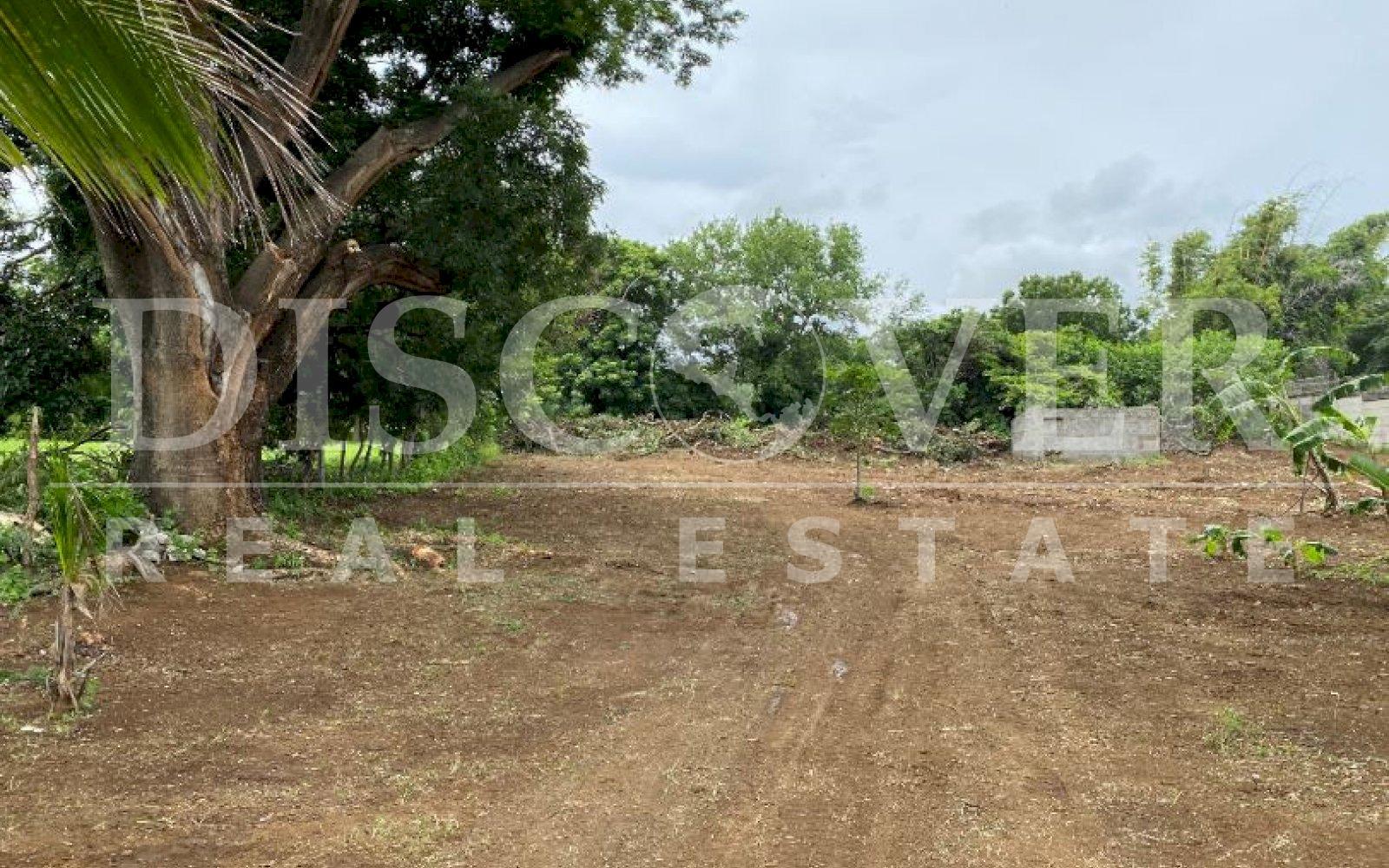Land for Sale in Lomas de Cedro Galán, Old to Lion Road ID 12714