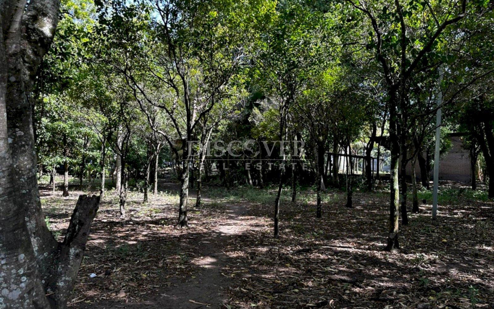  Road Front Land for Sale in Estelí.