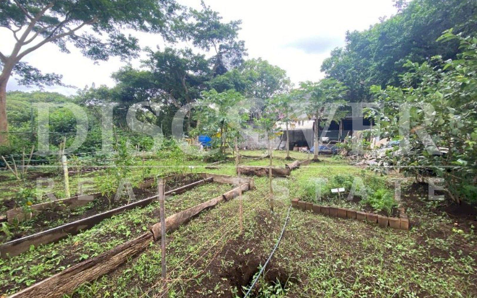 https://images.discovernica.com/propiedad/1600/vwrghetjr6drytkufyulif.JPG