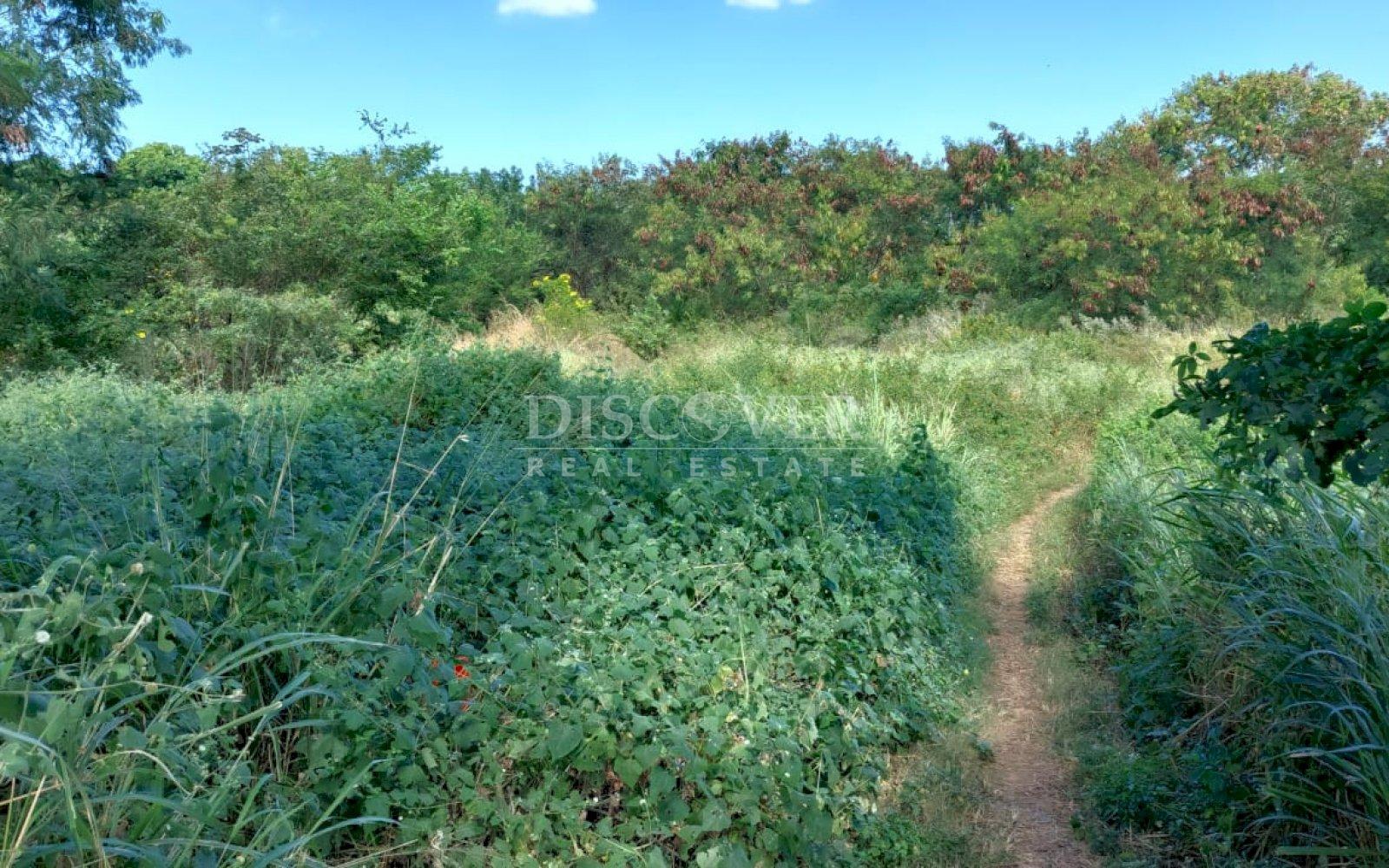 https://images.discovernica.com/propiedad/1600/web1_3.jpg