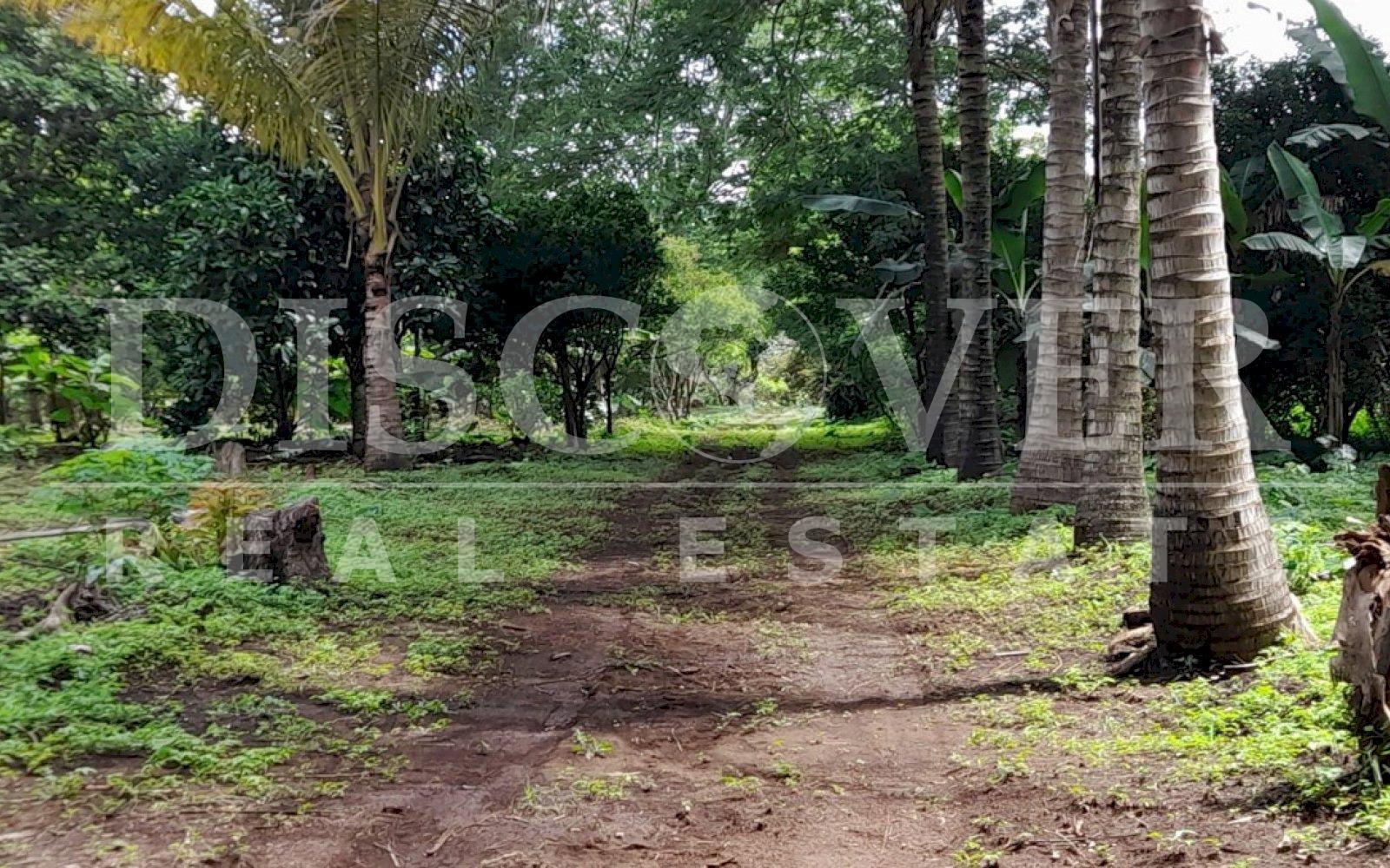 https://images.discovernica.com/propiedad/1600/wefwefweg.jpg
