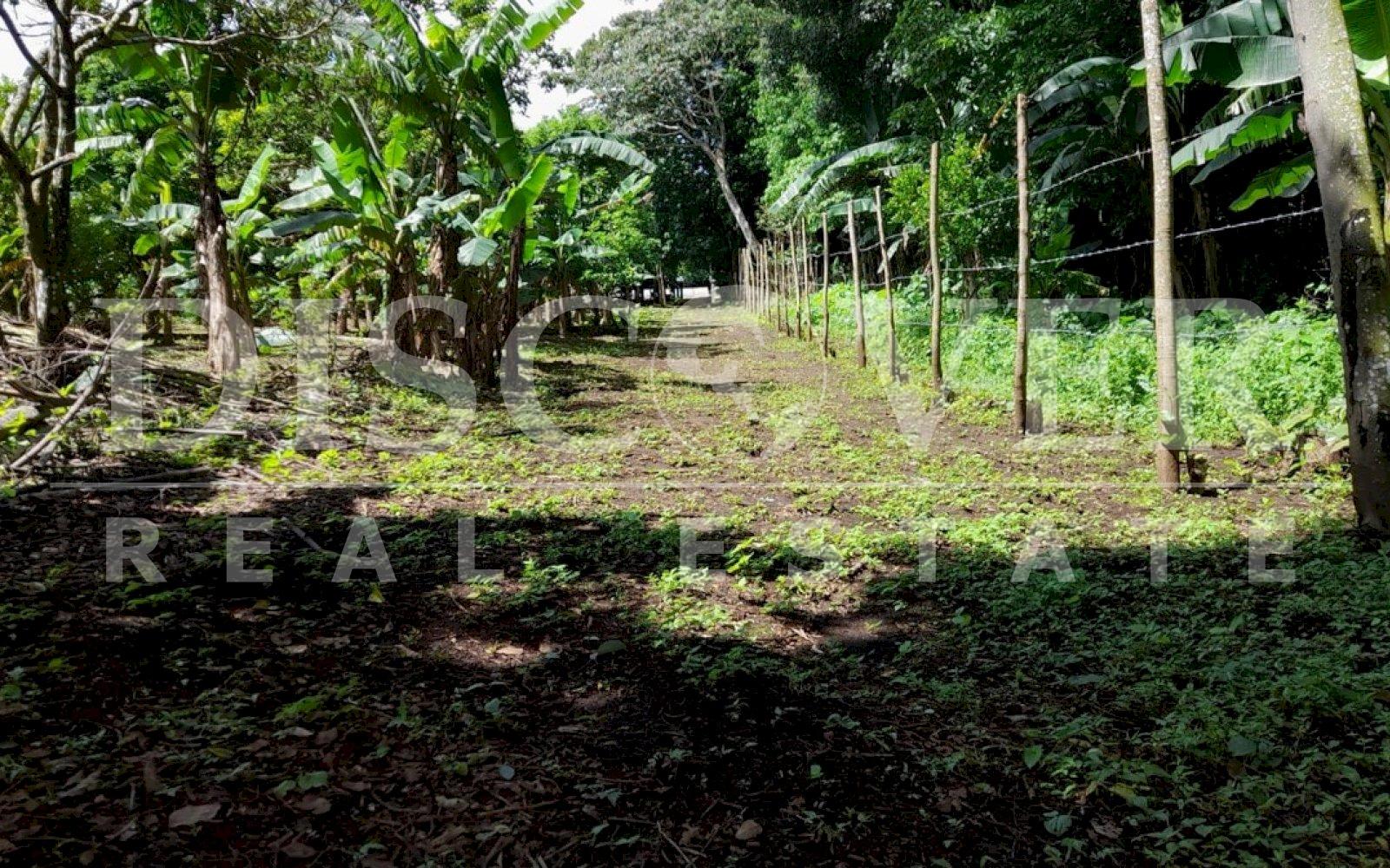 https://images.discovernica.com/propiedad/1600/wfwefwgw4gw4egwe.jpg