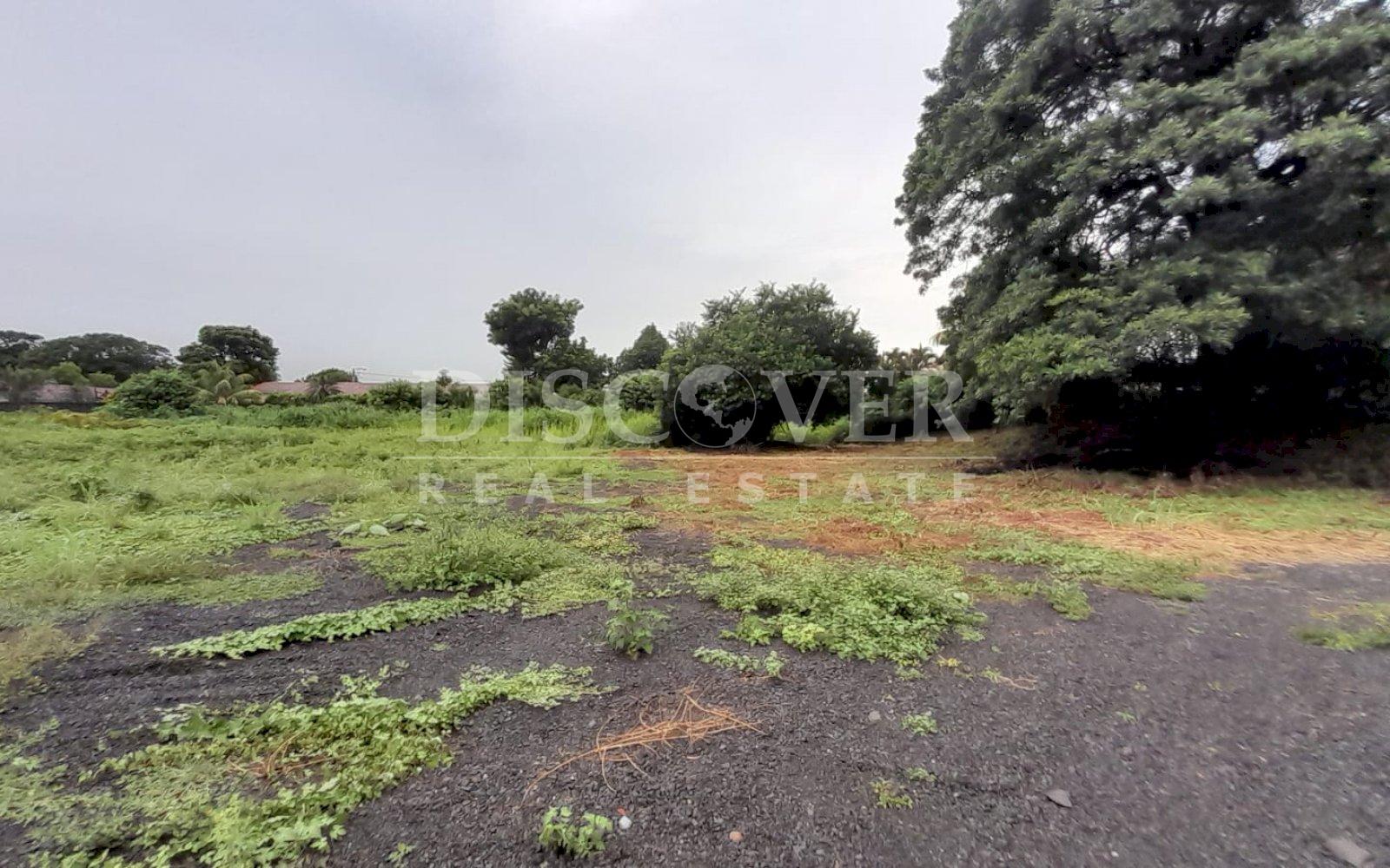 Imagen 6 de la galería