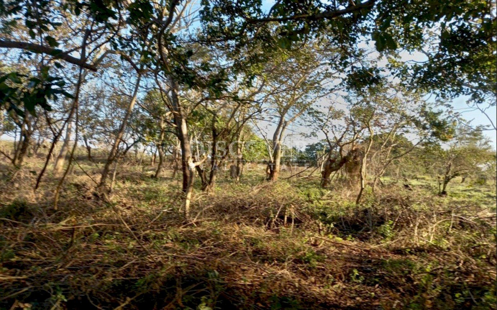 Imagen 9 de la galería