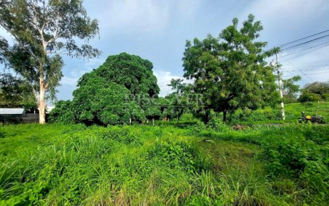  4 lots for sale located in Lomas de Guadalupe 