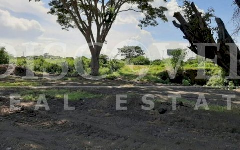  Sale of Flat Land on the North Highway ID 12769