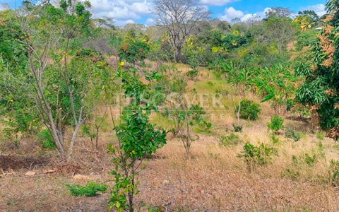  Agricultural property for sale in Niquinohomo - Masaya