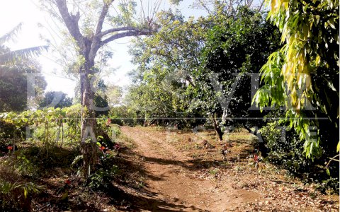  Flat Lot of 3.48 acres for Sale located on road to San Marcos ID 11069