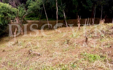  Land for sale located in Las Cumbres ID 11130