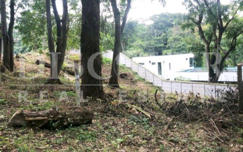  Land for Sale on Carretera Sur