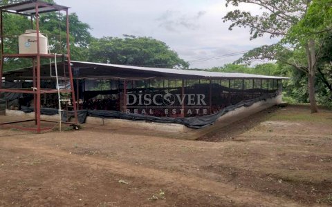  Property for sale in Carazo suitable for poultry.