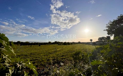  Land for sale in Sabana Grande, ideal for industrial investment.