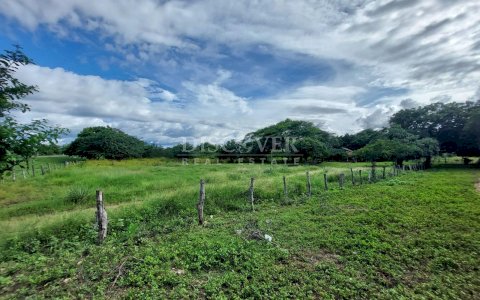  Livestock farm for sale on the old road to León, Nagarote.