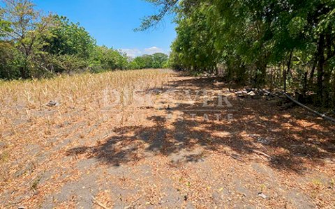  Flat land for sale on Carretera Norte