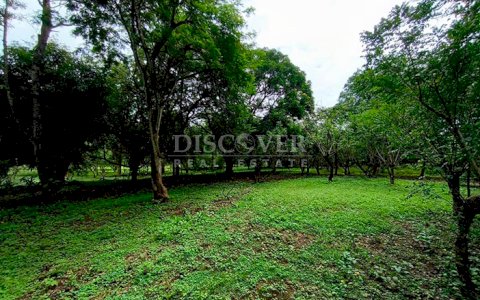 Farm for sale in Masaya 
