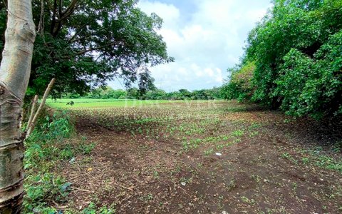  Land for sale across from the highway - Ideal for commercial use in Masaya