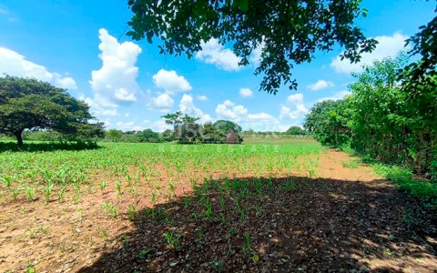 Agricultural land for sale in Masaya