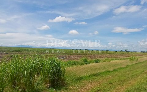 Rice farm for sale/rent in Malacatoya 