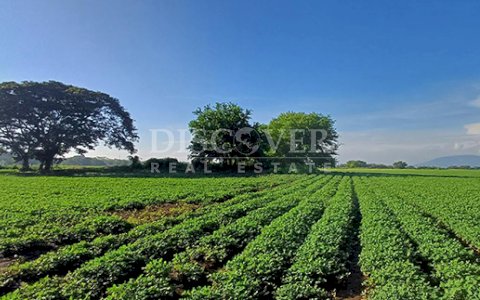 Agricultural property for sale in Altos de Masaya