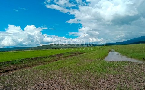  Farm for Sale – Chagüitillo Area, Sébaco