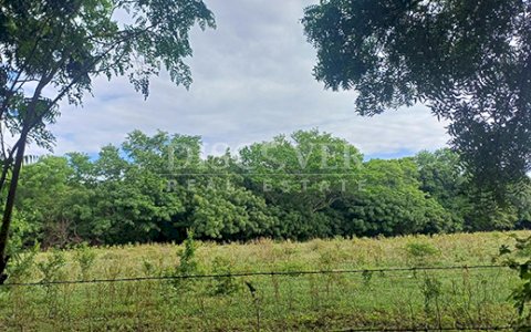 Lots for sale in Cofradía
