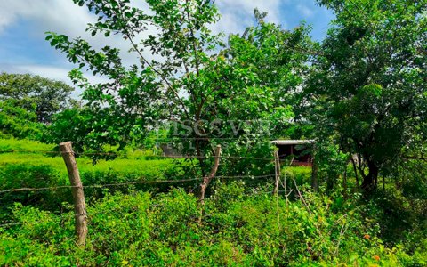  Flat land for sale in Moyogalpa 