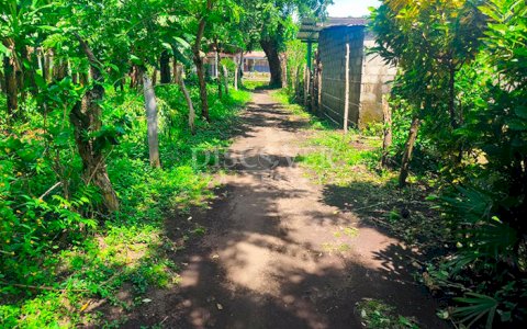 Land with house for sale on Ometepe Island